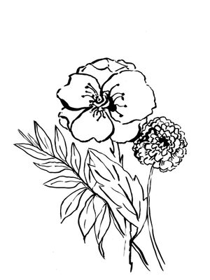 Image Not Available